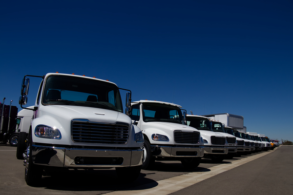 line up of trucks