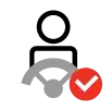 Icon of a driver at a steering wheel with a tick