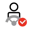 Driver at a steering wheel icon with a red tick