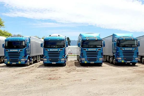 Four blue Scania trucks parked side by side in a yard