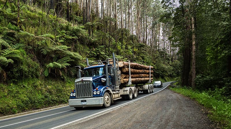 forestry-AU (1)