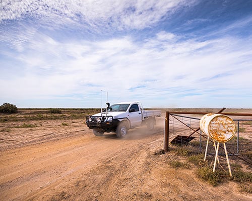 ute-outback