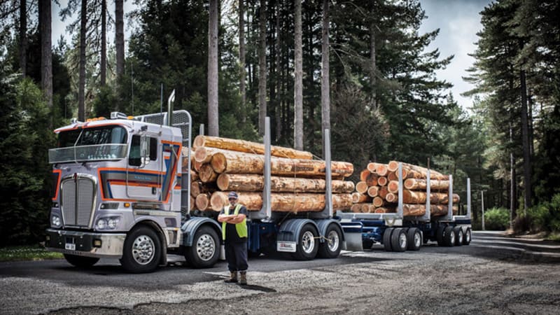 ww-forestry