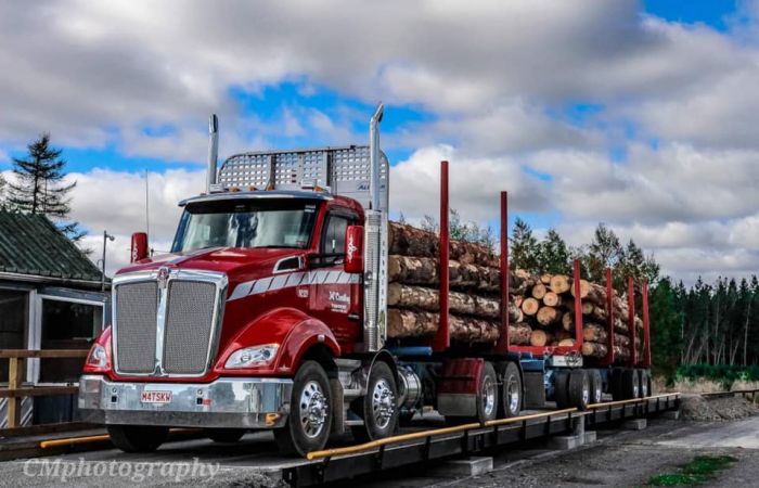 Red log truck carrying a full load of logs on a weighbridge