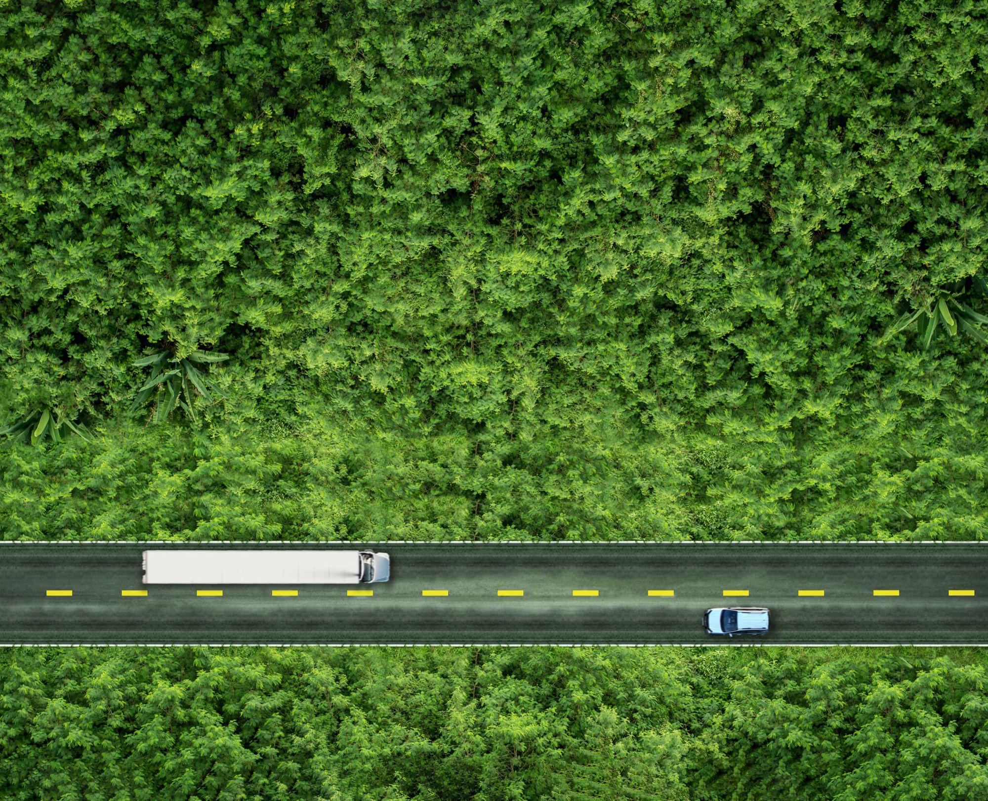 Aerial view of a truck and a car on a road through dense green forest