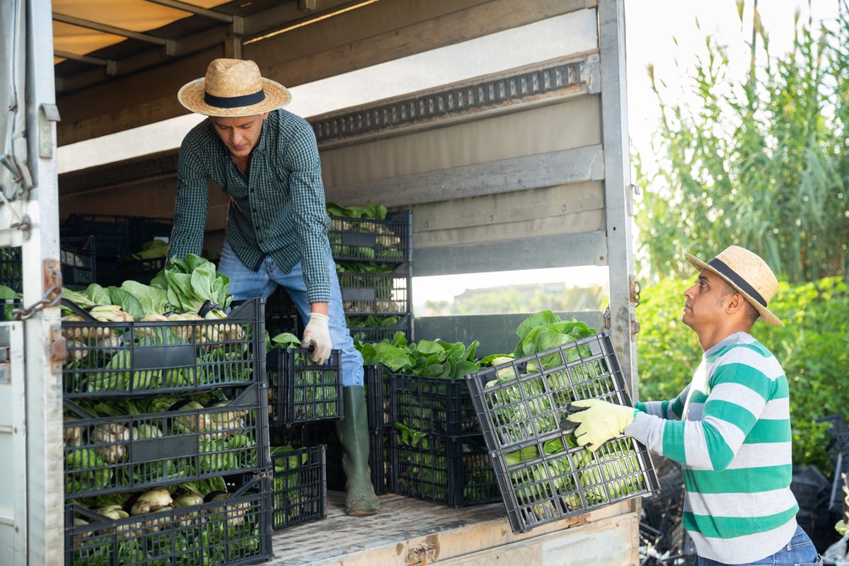 Optimize Cold Chain