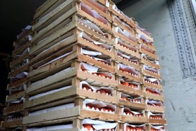 Cold Chain Cold Chain