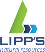 Lipp's