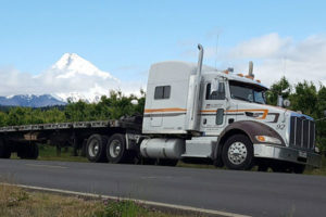 FV Martin Trucking truck parked alongside road with snowy mountain behind